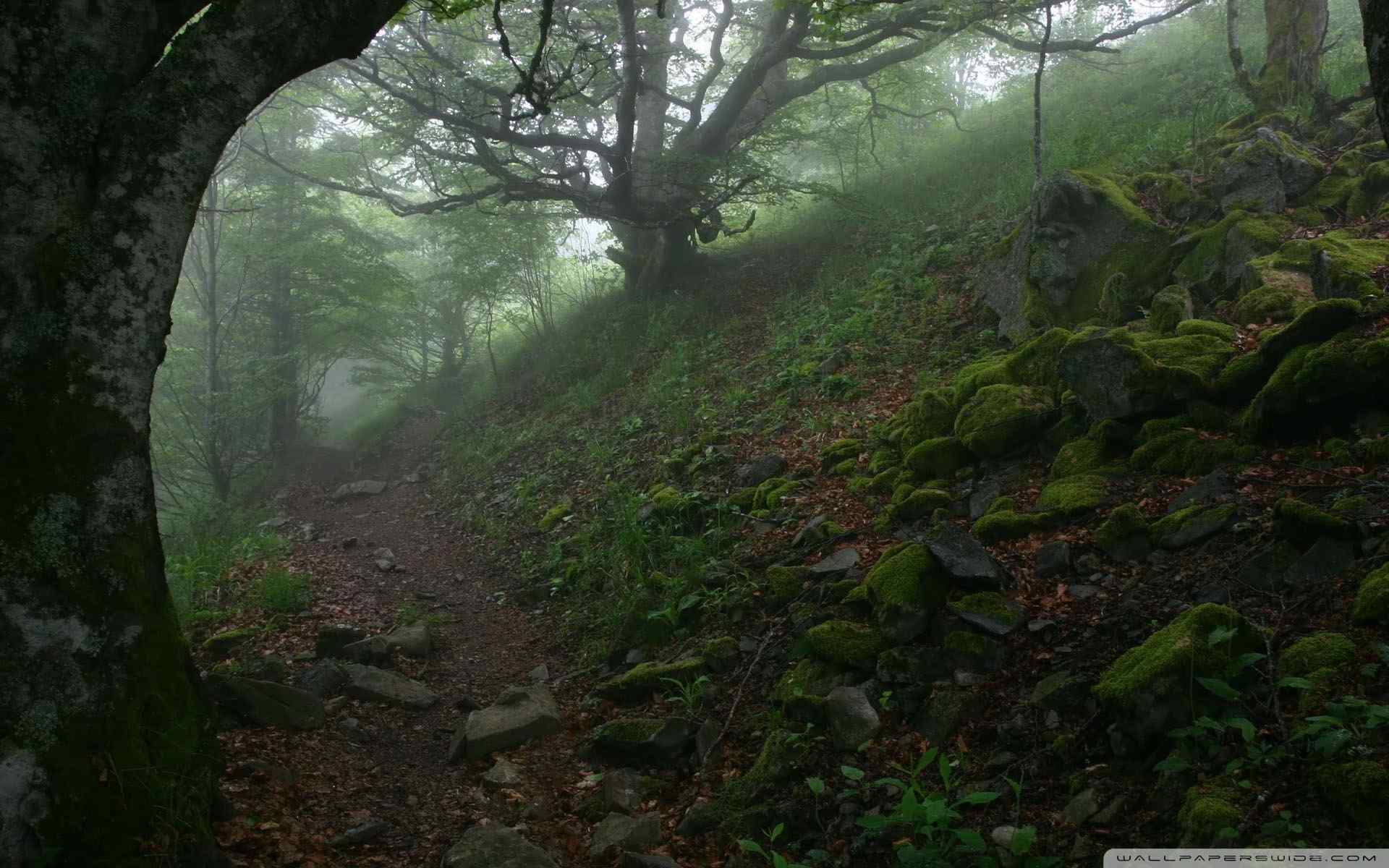 养眼山峰摄影壁纸