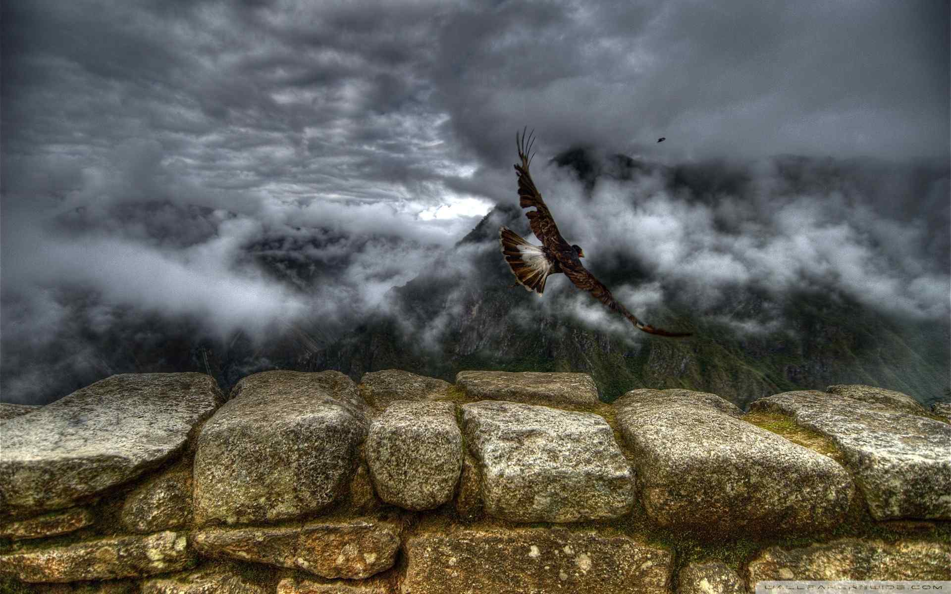 鹰击长空风景壁纸