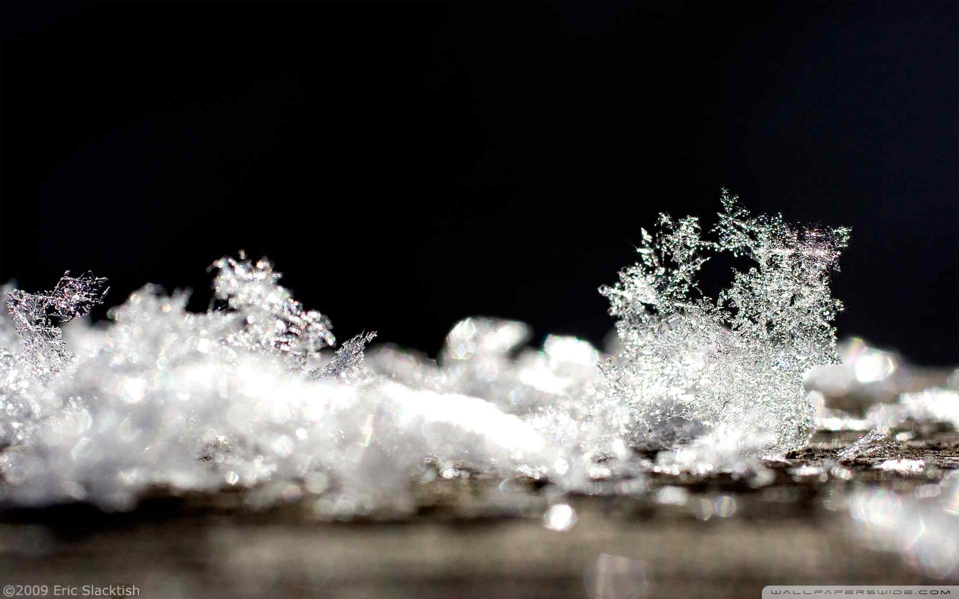 晶莹雪花特写壁纸